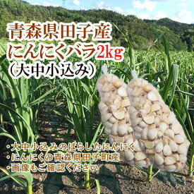【ふるさと納税】青森県田子産にんにくバラ（訳あり）2kg　出荷開始：10月15日〜4月30日