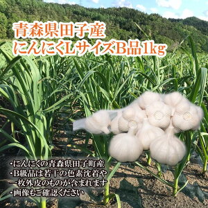 yӂ邳Ɣ[ŁzXcqYɂɂLTCYBi 1kg@ cq @o׊JnF1020珇