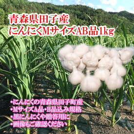 【ふるさと納税】田子産にんにく約1kg（MサイズA〜B品）　薬味・野菜・根菜・加工食品・乾物　出荷開始：10月20日以降 順次出荷予定