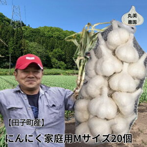 【ふるさと納税】丸美農園 田子産家庭用にんにく(M)20個  薬味 にんにく 田子町産 家庭用 野菜 たっこにんにく  出荷開始時期:10月1日〜3月31日