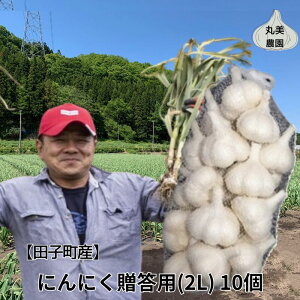yӂ邳Ɣ[Łz۔_ cqYpɂɂi2Lj10@  ɂɂ cqY p  ɂɂ @o׊JnF101`331