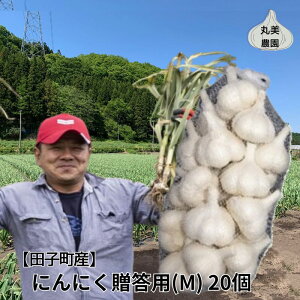 yӂ邳Ɣ[Łz۔_ cqYpɂɂiMj20@  ɂɂ cqY p  ɂɂ @o׊JnF101`331