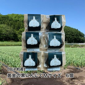 【ふるさと納税】丸美農園 田子町産【遠赤外線熟成】黄金の黒にんにく(Mサイズ)　6個　野菜・根菜・薬味・加工食品・燻製　出荷開始：8月1日〜3月31日