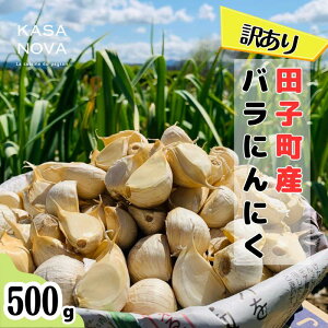 yӂ邳Ɣ[Łzy󂠂zcqYoɂɂw500gx@o׊JnF107`331