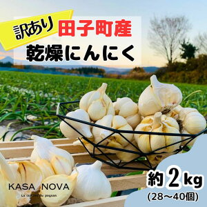 yӂ邳Ɣ[Łzy󂠂zcqYɂɂw2kgx@o׊JnF121珇