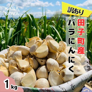 yӂ邳Ɣ[Łzy󂠂zcqYoɂɂw1kgx@򖡁@o׊JnF1020`331