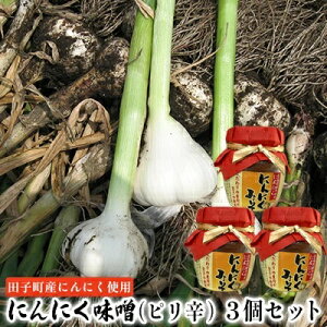 【ふるさと納税】にんにく味噌(ピリ辛)3個セット【田子町産にんにく使用】  薬味 調味料 万能味噌 辛味 ピリ辛 炒め物 煮物 ごはんのお供 味付け 田子産にんにく使用 和食 洋食 炒め物