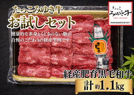 【ふるさと納税】オーク牧場のたっこみゆき牛【お試しセット】すき焼き350g焼肉350gステーキ2枚 牛肉　焼き肉　すきやき