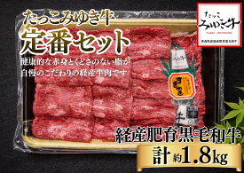【ふるさと納税】オーク牧場のたっこみゆき牛【定番セット】すき焼き500gを2つとステーキ4枚 牛肉　すきやき