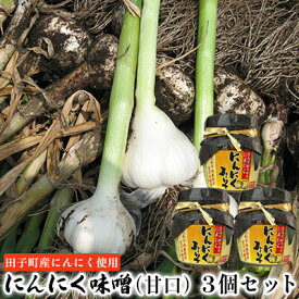 【ふるさと納税】にんにく味噌（甘口）3個セット【田子町産にんにく使用】　【 薬味 調味料 万能味噌 炒め物 煮物 ごはんのお供 味付け 田子産にんにく使用 和食 洋食 炒め物 煮物 甘い コク 】