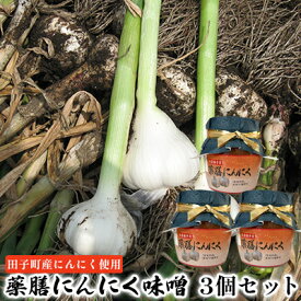 【ふるさと納税】薬膳にんにく味噌3個セット【田子町産にんにく使用】　【 薬味 調味料 ごはんのお供 味付け 田子産にんにく使用 粗みじん切り こうじ 甘い味噌 コク おにぎりの具 】