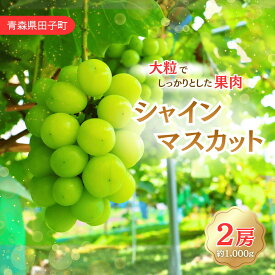 【ふるさと納税】青森県田子町産　ぶどう「シャインマスカット」 1kg　出荷開始：10月15日〜10月29日まで