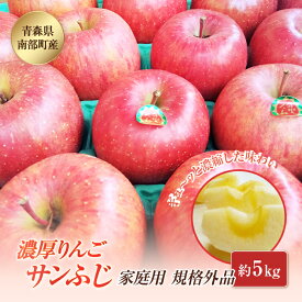 【ふるさと納税】 【訳あり】 青森県南部町産 濃厚りんご サンふじ （規格外品） 約5kg 【アグリーデザイン】 青森りんご リンゴ アップル 林檎 青森県 南部町 果物 くだもの フルーツ 家庭用 わけあり ワケアリ 規格外 3kg 以上 F21U-040