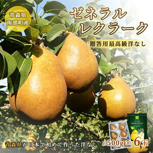 yӂ邳Ɣ[Łz  [lN[N (m) 3kg i500g×6j yRʎz [l N[N miV Ȃ X 암 t[c ʕ  N F21U-062