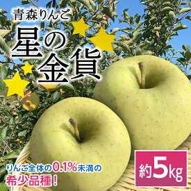 【ふるさと納税】 青森りんご 星の金貨 約5kg 【マルス果樹園】 りんご リンゴ 林檎 アップル 果物 くだもの フルーツ あおもり 青森 青森県 南部町 三戸 南部 F21U-079