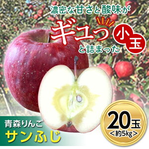 yӂ邳Ɣ[Łz X Tӂ 5kg (20) y}Xʎz ӂ  S ь Abv ʕ  t[c  X X 암 O 암 3kg ȏ F21U-101