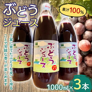 yӂ邳Ɣ[Łzʏ`100% ԂǂW[X (1000mlr×3{) yX̍؉z uhE  O[v uhEW[X W[X t[c X 암Y O 암 1l 1L Zbg F21U-198