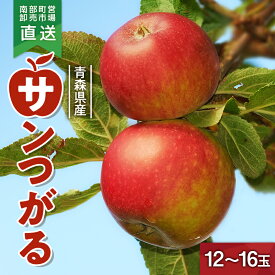 【ふるさと納税】 りんご 「サンつがる」 （12～16玉） 【カネテ青果】 青森りんご 南部町営卸売市場 直送 リンゴ 林檎 アップル あおもり 青森 青森県 南部町 果物 くだもの フルーツ F21U-210