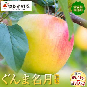 yӂ邳Ɣ[Łz sIׂeʁtܖiʁj 3kgE5kg yʎz X  S ь Abv ܖ t[c ʕ   X X 암