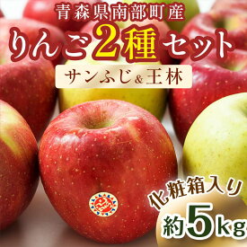 【ふるさと納税】 最高級 特選（超大玉） 青森産 完熟 りんご 約5kg サンふじ 王林 2種セット 化粧箱入り 【誠果園】 青森りんご リンゴ 林檎 アップル あおもり 青森 青森県 南部町 澁川賞受賞 果物 くだもの フルーツ 贈答 F21U-230