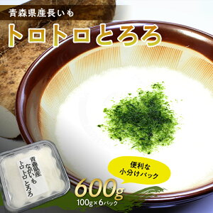yӂ邳Ɣ[ŁzXY @ggƂ@600g(100g×6pbN) yȂԔ_z֗ȏpbN@Y F21U-257