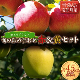 【ふるさと納税】 葉とらずりんご 旬の詰め合わせ 赤＆黄セット 約4.5kg 【四戸農園】 減農薬 有機肥料 青森りんご リンゴ 林檎 アップル あおもり 青森 青森県 南部町 果物 くだもの フルーツ 3kg 以上 F21U-265