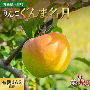 yӂ邳Ɣ[Łz L@JASF  ܖ 3kg yay񂲗{_z X S ь Abv  X X 암 O 암 ʕ  t[c I[Kj
