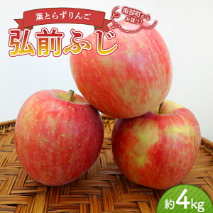 yӂ邳Ɣ[Łz sƒpt tƂ炸 OOӂ 4kg yl˔_z _ L@엿 X S ь Abv  X X 암 ʕ  t[c 󂠂 