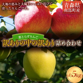 【ふるさと納税】 《訳ありの中の訳あり》 葉とらずりんご詰め合わせ 約5kg 【四戸農園】 減農薬 有機肥料 青森りんご リンゴ 林檎 アップル あおもり 青森 青森県 南部町 果物 くだもの フルーツ 訳あり 訳アリ わけあり 規格外 3kg 以上 F21U-361