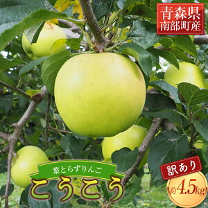 yӂ邳Ɣ[Łz sƒpt tƂ炸  4.5kg yl˔_z _ L@엿 X S ь Abv  X X 암 ʕ  t[c 󂠂 