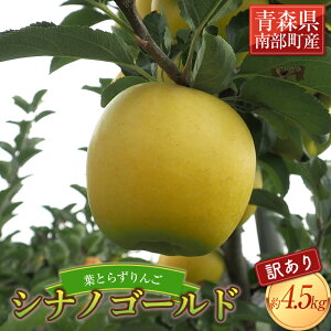 yӂ邳Ɣ[Łz sƒpt tƂ炸 VimS[h 4.5kg yl˔_z _ L@엿 X S ь Abv  X X 암 ʕ  t[c 