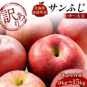 yӂ邳Ɣ[Łz eʂIׂ y󂠂z XY n  Tӂ i`ʁj 5kg^10kg^15kg yʉz X S ь Abv  X 암 O 