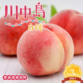 【ふるさと納税】 【訳あり】 川中島白桃 約3kg（8～12玉） 【泉山果樹園】 青森県 南部町 モモ もも 果物 くだもの フルーツ 規格外 家庭用 わけあり ワケアリ F21U-468