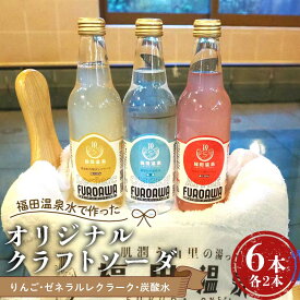 【ふるさと納税】福田温泉水で作ったオリジナルクラフトソーダ6本セット (りんご・ゼネラルレクラーク・炭酸水) 【癒楽家福泉】 福田温泉 温泉 風呂 フロアワ オリジナル サイダー ソーダ リンゴ アップル 林檎 洋梨 ナシ 梨 炭酸 青森 南部町 F21U-493