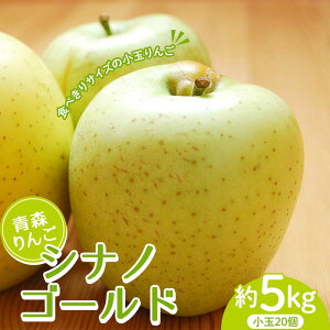 yӂ邳Ɣ[Łz X VimS[h 5kg i20j y}Xʎz  S ь Abv ʕ  t[c  X X 암 O 암 3kg ȏ F21U-