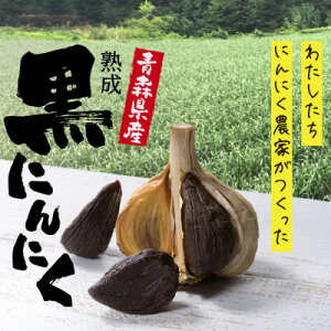 yӂ邳Ɣ[ŁzyXYz˗ ɂɂ 󂠂 500gy1553010z