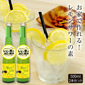 yӂ邳Ɣ[ŁzJT[̑fu傢v500ml×2{y1559966z