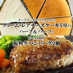 yӂ邳Ɣ[ŁzwN[`[YP[L5ƃA`[YP[L5̃n[t&n[txƁwZp100%no[O2xyzsnFEꌧzy1630533z