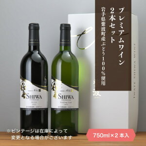 yӂ邳Ɣ[ŁzCg v~AC2{Zbgy1688279z