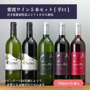 yӂ邳Ɣ[ŁzCg hC5{Zbgy1688301z