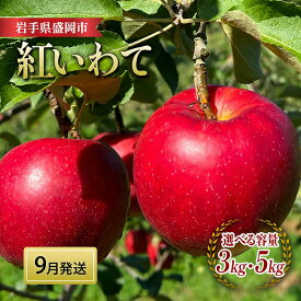 【ふるさと納税】 選べる容量 紅いわて 3kg・5kg 9月下旬〜発送 完熟 フルーツ 果物 夏 秋 旬 旬のフルーツ 季節のフルーツ 林檎 リンゴ 贈答用 贈答 プレゼント 贈り物 国産 岩手県 盛岡市 東北 岩手 盛岡 岩手県 盛岡市 盛岡りんご 北田りんご園 kitada010P