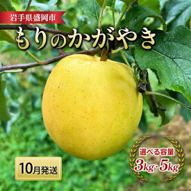 【ふるさと納税】 10月中旬頃発送 もりのかがやき 選べる容量 3kg・5kg 完熟 フルーツ 果物 旬 旬のフルーツ 季節のフルーツ 贈答用 贈答 贈り物 プレゼント 林檎 リンゴ 国産 産地直送 岩手県 盛岡市 東北 岩手 盛岡 北田りんご園 盛岡りんご kitada012P