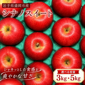 【ふるさと納税】 10月中旬頃発送 シナノスイート 選べる容量 3kg・5kg 完熟 フルーツ 果物 旬 旬のフルーツ 季節のフルーツ 贈答用 贈答 贈り物 プレゼント 林檎 りんご リンゴ 国産 産地直送 岩手県 盛岡市 東北 岩手 盛岡 北田りんご園 盛岡りんご kitada018P