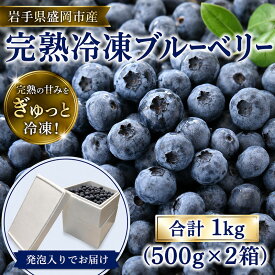 【ふるさと納税】 大粒 完熟 ブルーベリー 1kg (500g×2) 冷凍 詰め合わせ 果汁 果肉 人気 果物 果実 フルーツ ジューシー ベリー 国産 産地直送 お取り寄せ 贈り物 贈答 贈答用 ギフト プレゼント 贈り物 旬 岩手県 盛岡市 東北 岩手 盛岡 北田りんご園 kitada001