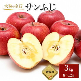 【ふるさと納税】 サンふじ 贈答用 りんご 3kg 林檎 リンゴ 果物 フルーツ おやつ デザート 旬の果物 旬のフルーツ 季節の果物 季節のフルーツ 岩手りんご 岩手県 盛岡市 東北 岩手 盛岡 峰崎果樹園