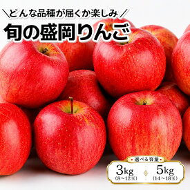 【ふるさと納税】先行予約 旬の 盛岡りんご 詰め合わせ 選べる容量 約3kg・5kg 品種おまかせ 9月下旬発送開始 林檎 リンゴ 果物 フルーツ 旬 季節の果物 産地直送 お取り寄せ デザート 特産品 農家直送 秋 おすすめ 東北 岩手 盛岡 朝島観光りんご園 asashima003P