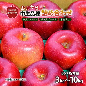 【ふるさと納税】【先行予約】9月中旬発送開始 りんご 品種お任せ 詰め合わせ 2種以上 3kg～10kg シナノスイート ジョナゴールド 早生ふじ ぐんま名月 もりのかがやき その他 中生品種 果物 フルーツ 林檎 リンゴ 旬 岩手県 盛岡市 東北 岩手 盛岡 藤与果樹園 fujiyo010P