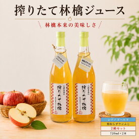【ふるさと納税】 りんごジュース 720ml 2本 林檎ジュース サンふじ シナノゴールド フルーツジュース アップルジュース 果汁飲料 飲み物 100％ 盛岡りんご りんご 林檎 国産 岩手県 盛岡市 東北 岩手 盛岡 佐々木果樹園 乙部角屋 otobe001