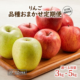 【ふるさと納税】 【先行予約】 訳あり りんご 品種おまかせ 3kg/5kg 定期便 3ヶ月 3回 家庭用 シナノスイート ジョナゴールド シナノゴールド 奥州ロマン サンふじ はるか こうこう 10月発送開始 果物 フルーツ 岩手県 盛岡市 東北 岩手 盛岡 田村ふぁーむ tamura009P