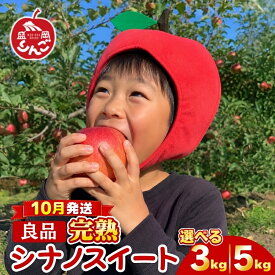 【ふるさと納税】 先行予約 贈答用 りんご 3kg 5kg シナノスイート 良品 ＜10月発送＞ 農家直送 期間限定 季節限定 果物 フルーツ 林檎 国産 産地直送 くだもの デザート ご当地 新鮮 プレミアム 甘い 酸味 果汁 秋 岩手県 盛岡市 東北 岩手 盛岡 田村ふぁーむ tamura011P